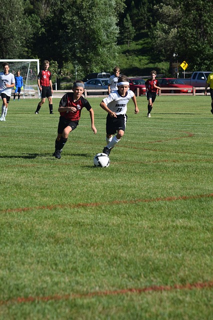 年季后赛也 年季后赛也