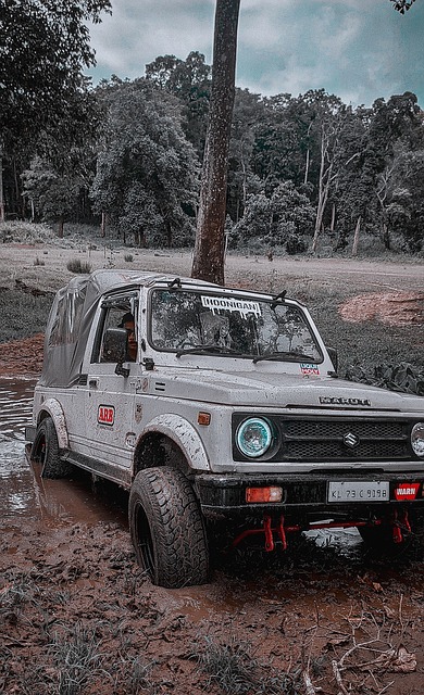 同的灵活性 同的灵活性